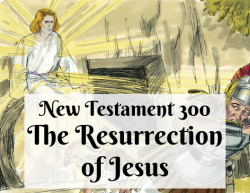 NT 300 - The Resurrection of Jesus